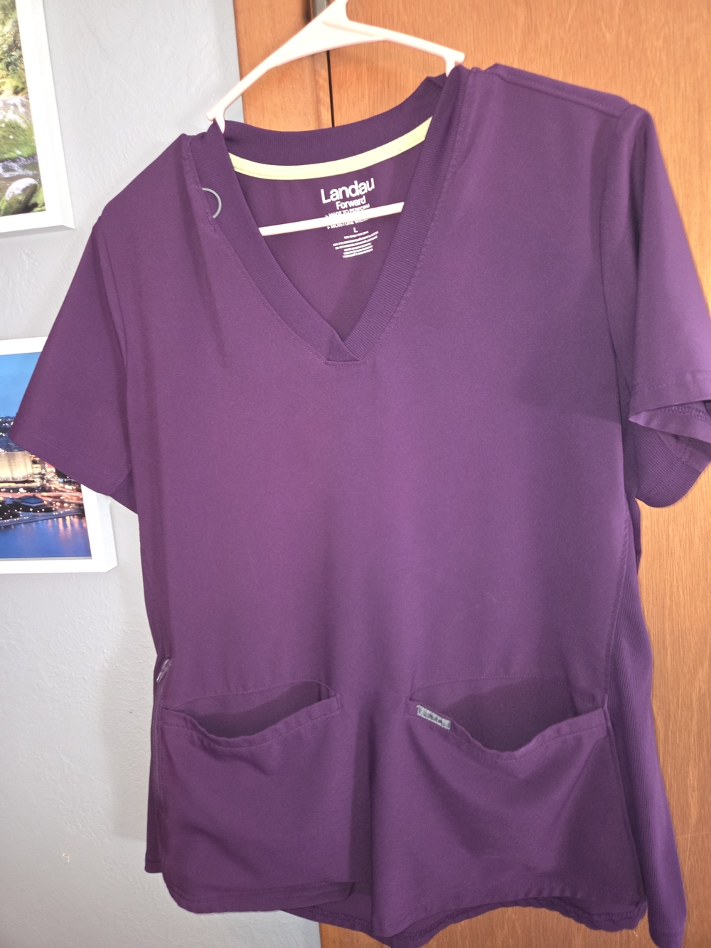 Landau Women's V-Neck Scrub Top in Plum Purple